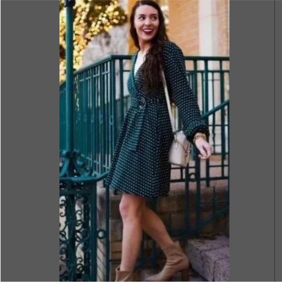 Maeve by Anthropologie ~ Malta green V-neck Lined Long Sleeve Dress | Sz Medium - Picture 4 of 12